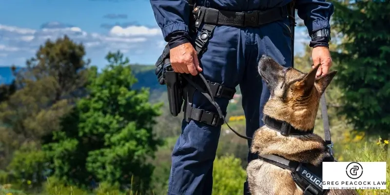 best police dog bite lawyer in orange county